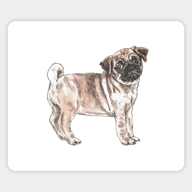 Cute Sad Pug - (in colour) Sticker by marianasantosart